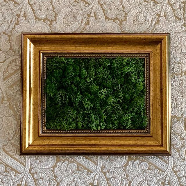 New New New So proud to present our stabilised moss baroque frames collection! #moss #mossinteriors #frame #stabilisedmo