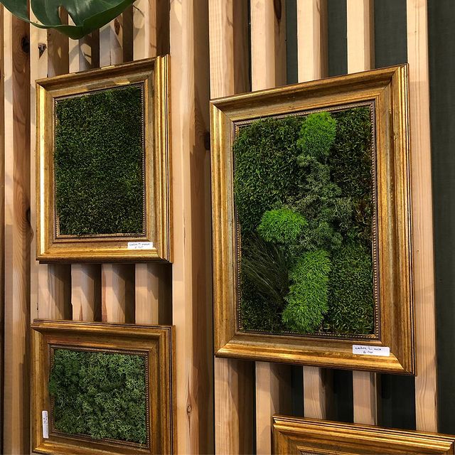Stabilised moss frames first delivery for @popandshopbrussels #urbanjungle #gogreen #frame #greendeco #greendesign #moss
