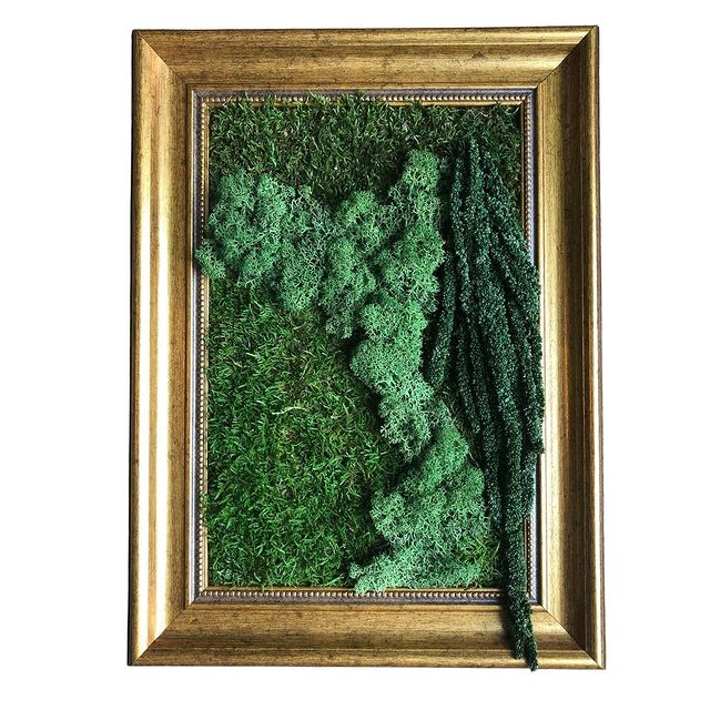 Stabilized moss & plants frame #moss #mossart #mossinteriors #frame #urbanjungle #gogreen #amaranth