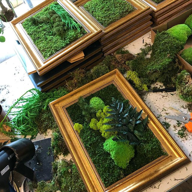 Producing moss frames today #gogreen #moss #mossart #greendeco #homemade