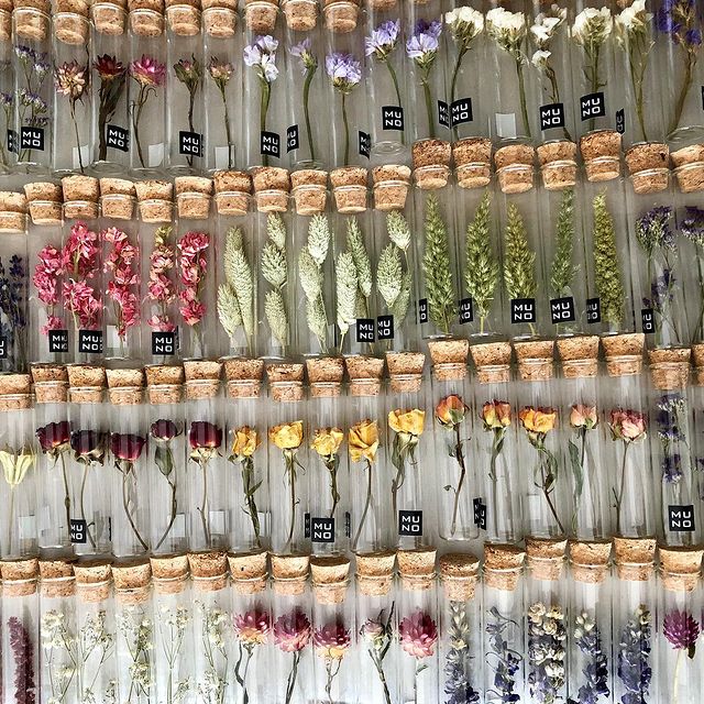 Dried flower tubes#nofilter #naturalcolours #nodying #natureisbeautiful #driedflowers #driedflowertubes #treatyourself