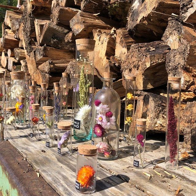 Sunny day#driedflowers #driedflowertubes #sunshine #muno
