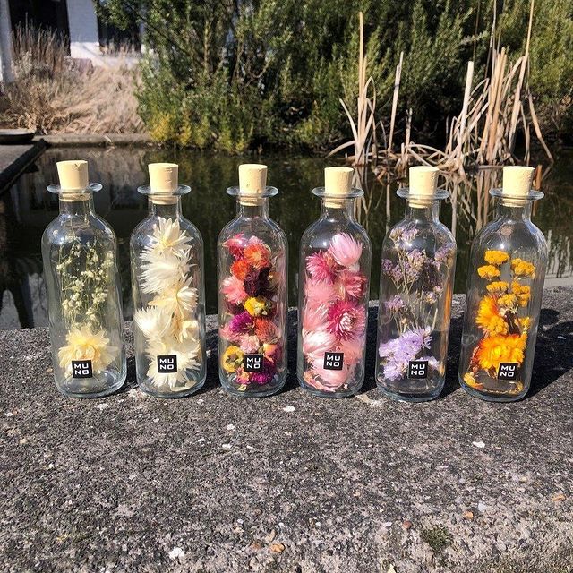 Did you see our new mini bottles yet?#driedflowers #homedecoration #theperfectgift