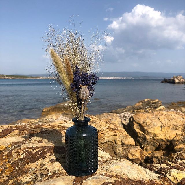 #driedflowers #messageinabottle