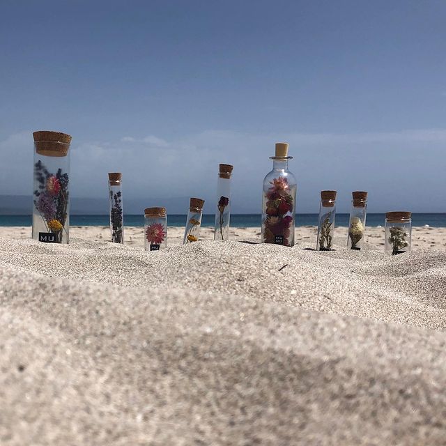 Beachtime#driedflowers #driedflowertubes #messageinabottle #homemade