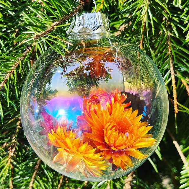 Countdown to Christmas has started!#christmas #christmasdecor #christmasbaubles #christmasballs #driedflowers #deco #han