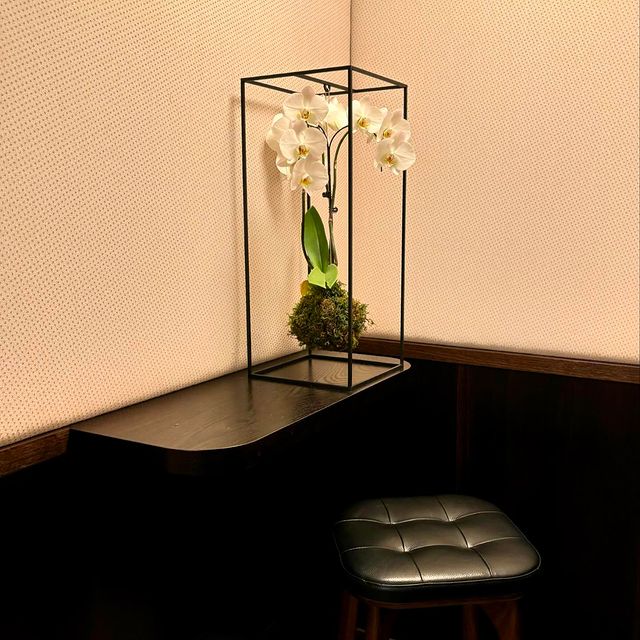 Take your kokedama to work #kokedama #orchid #orchidee #coworking #lessstress