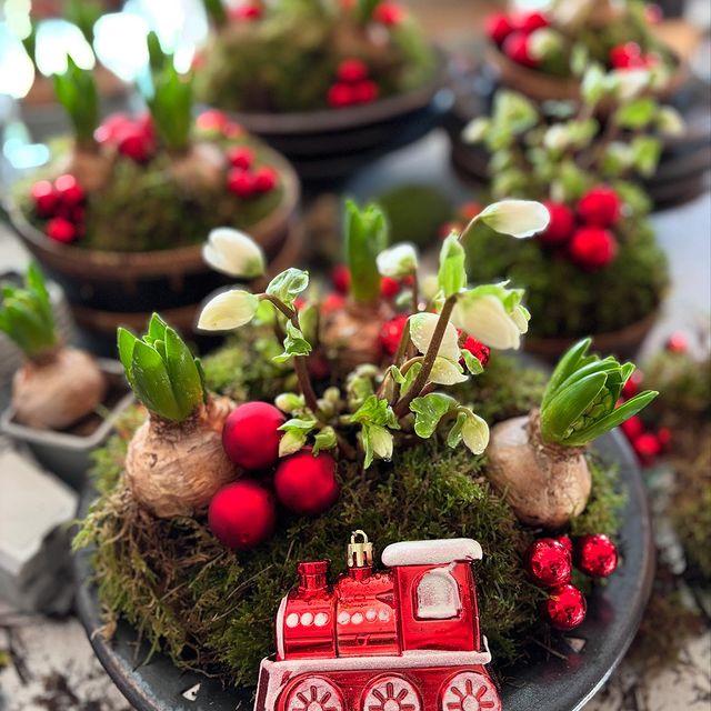 Some more cuties ready for our Pop-Up #helleborus #hyacinth #christmasdecor #outdoordecor #giftideas #gifts #cadeau #cad